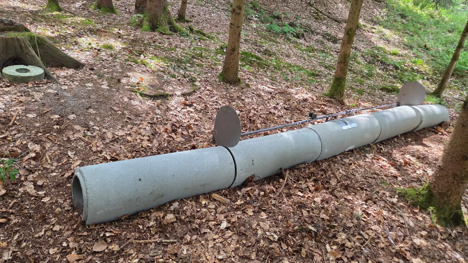 Betonrohrfalle als Lebendfangsystem im Wald
