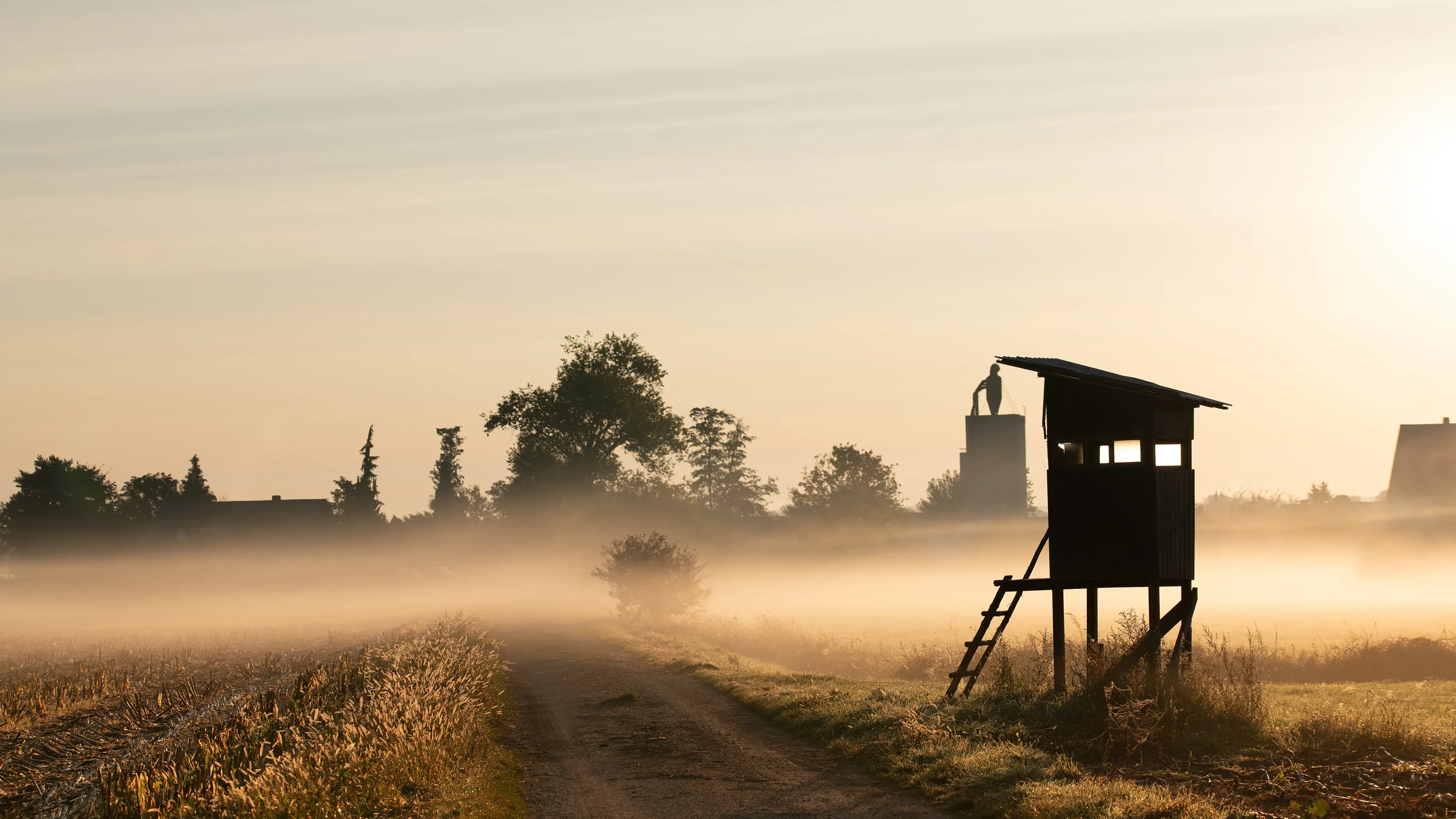 Hochsitz am Feldweg im Morgennebel