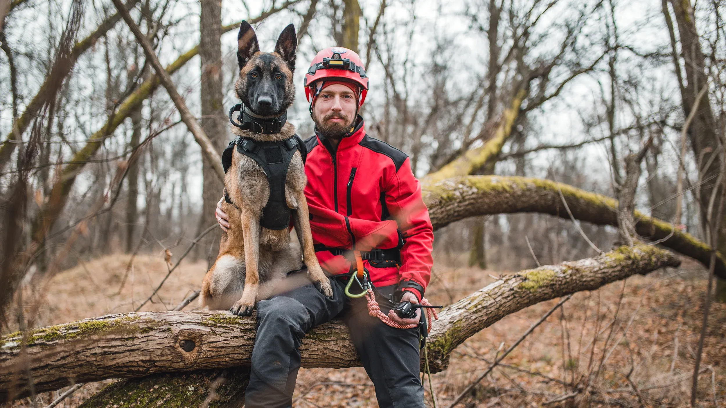 Nachsuchenführer mit ausgebildetem Jagdhund im Wald